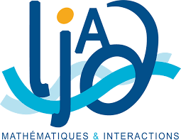 LJAD Logo